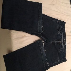 Hudson Trouser Flare Jeans